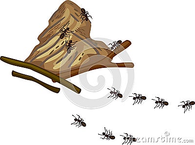 Abstract cartoon forest ants and anthill Vector Illustration